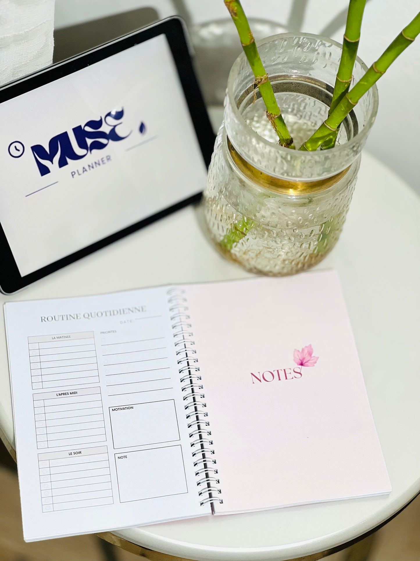 ✨ Coffret Standard – Secret de Muse ✨