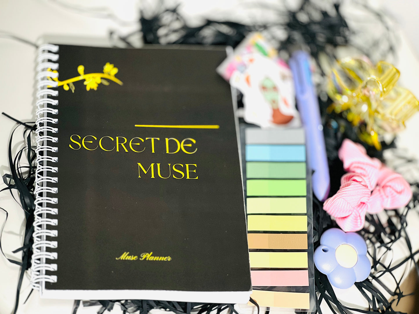 ✨ Coffret Standard – Secret de Muse ✨